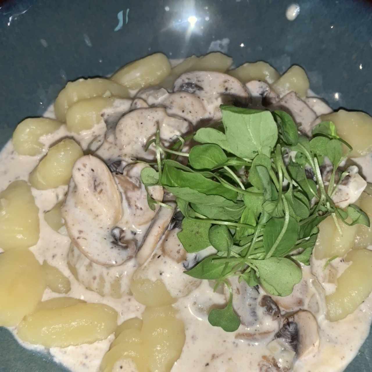 Gnocchi con salsa funghi 