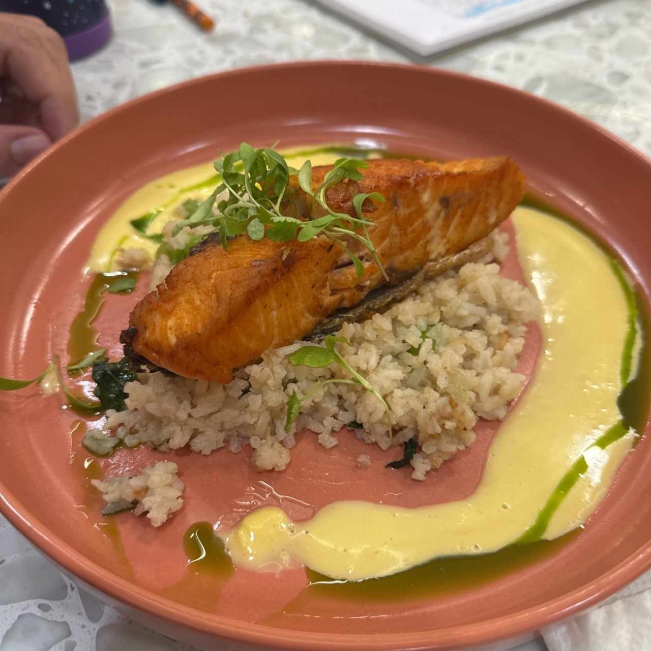 Salmon