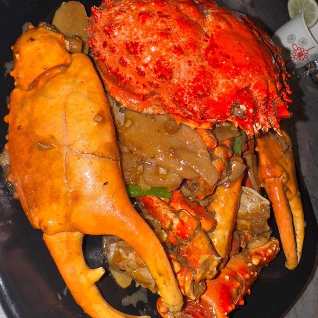 Centollo