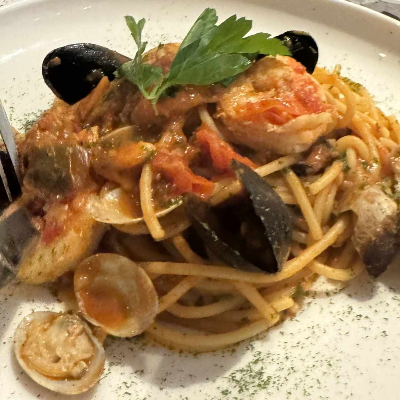 Scoglio o frutti di mare?