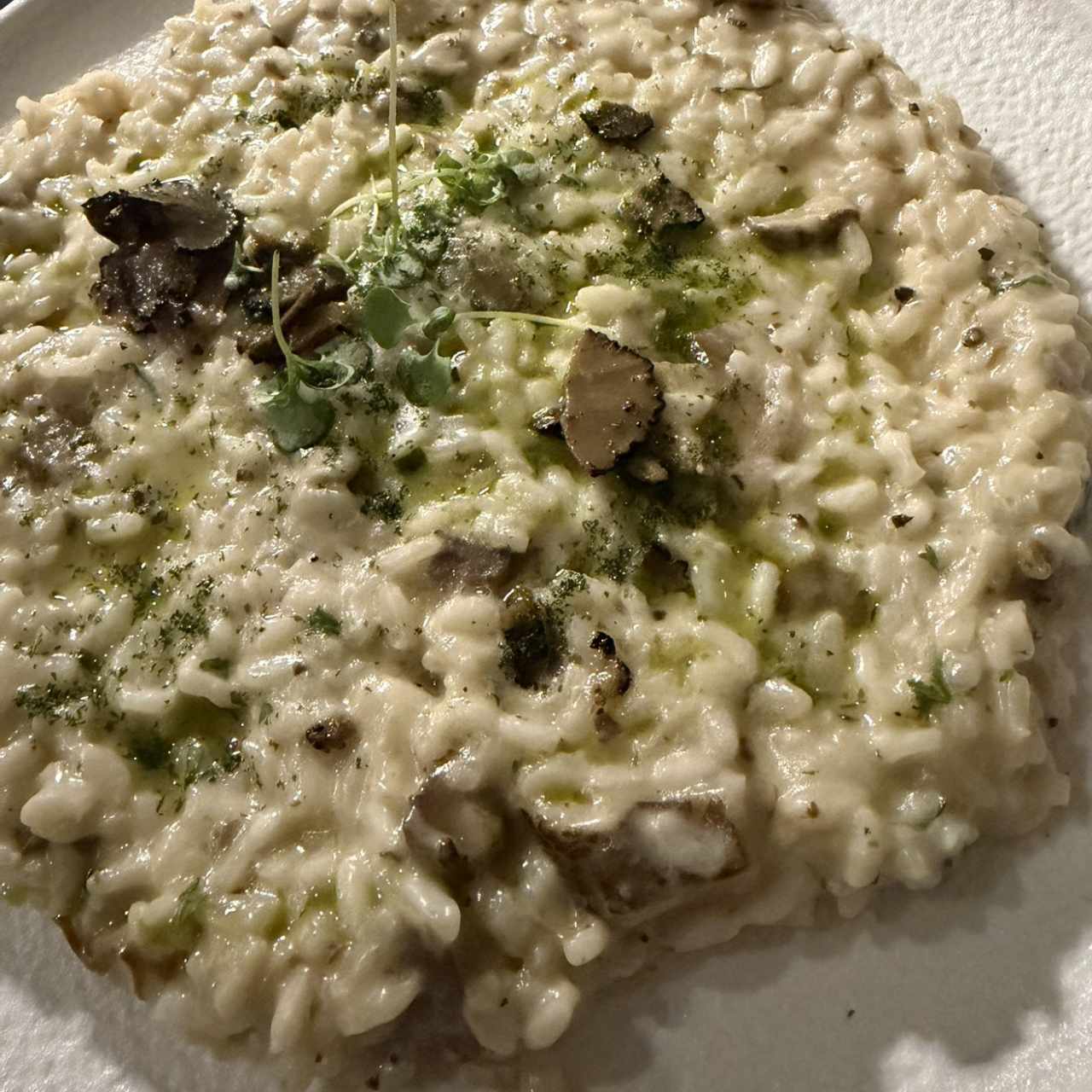Rissoto fungi