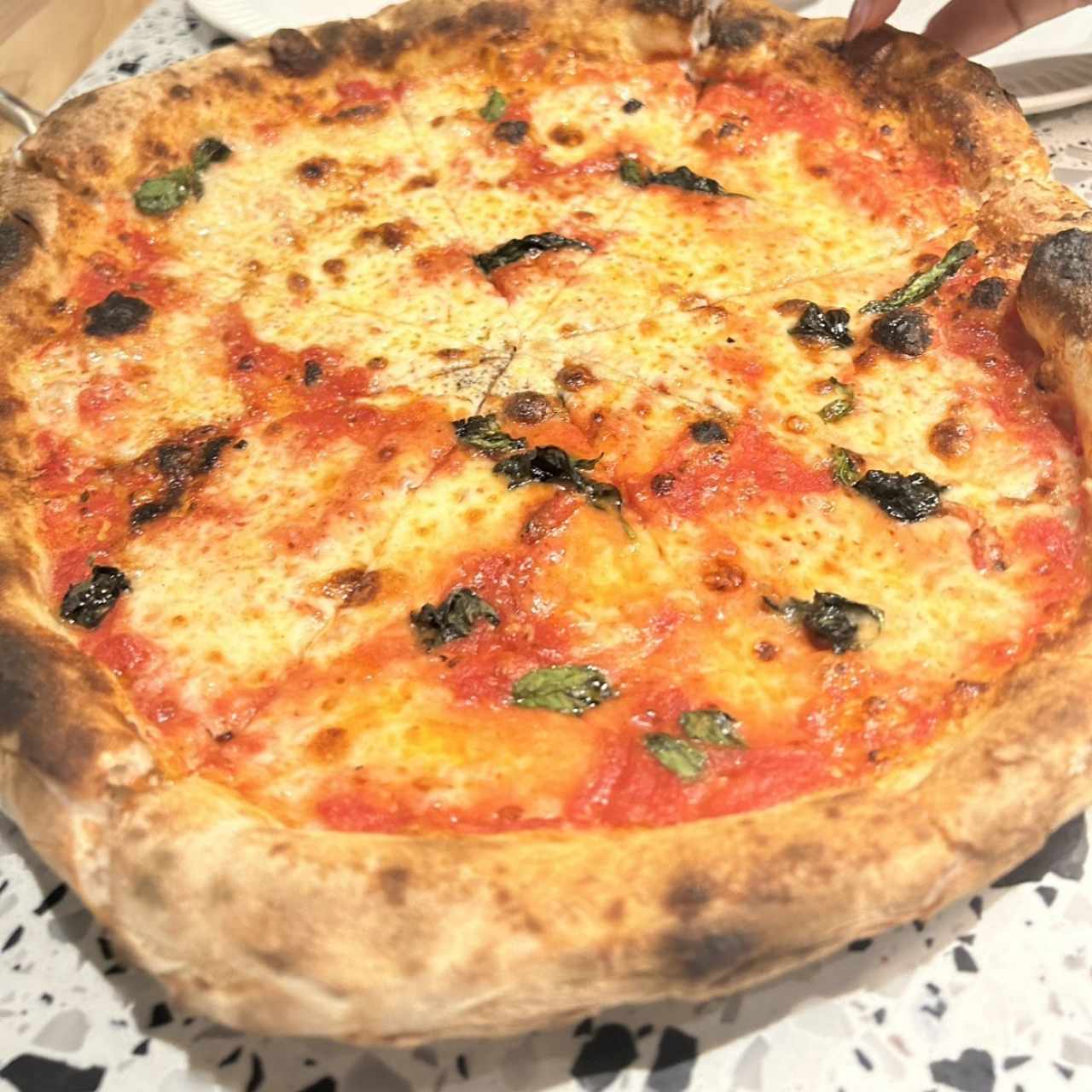 LE PIZZE - Margherita