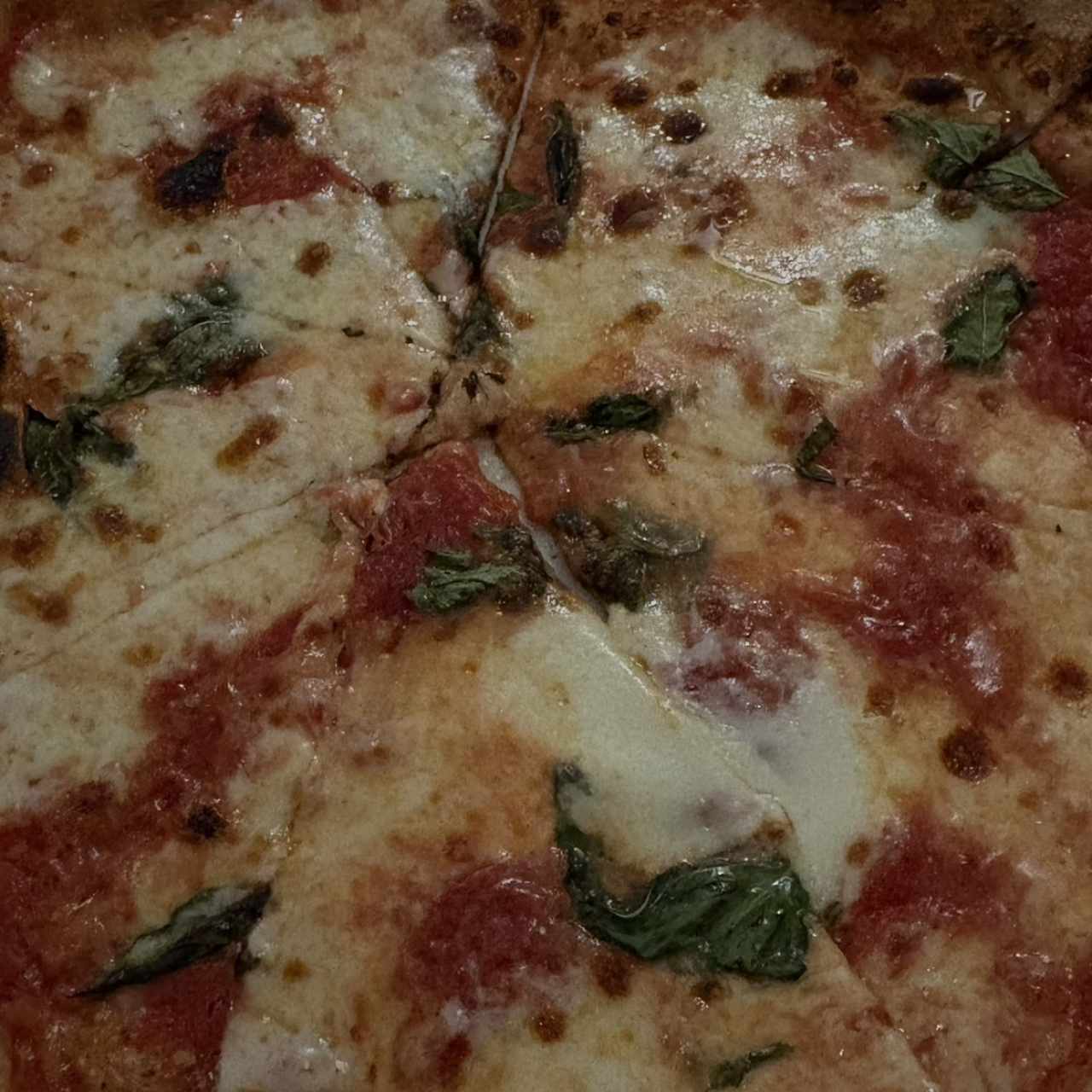 LE PIZZE - Margherita