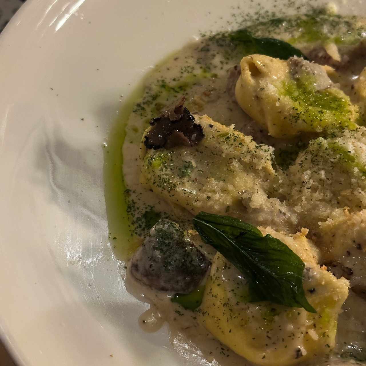 I PRIMI - Carboraviolo