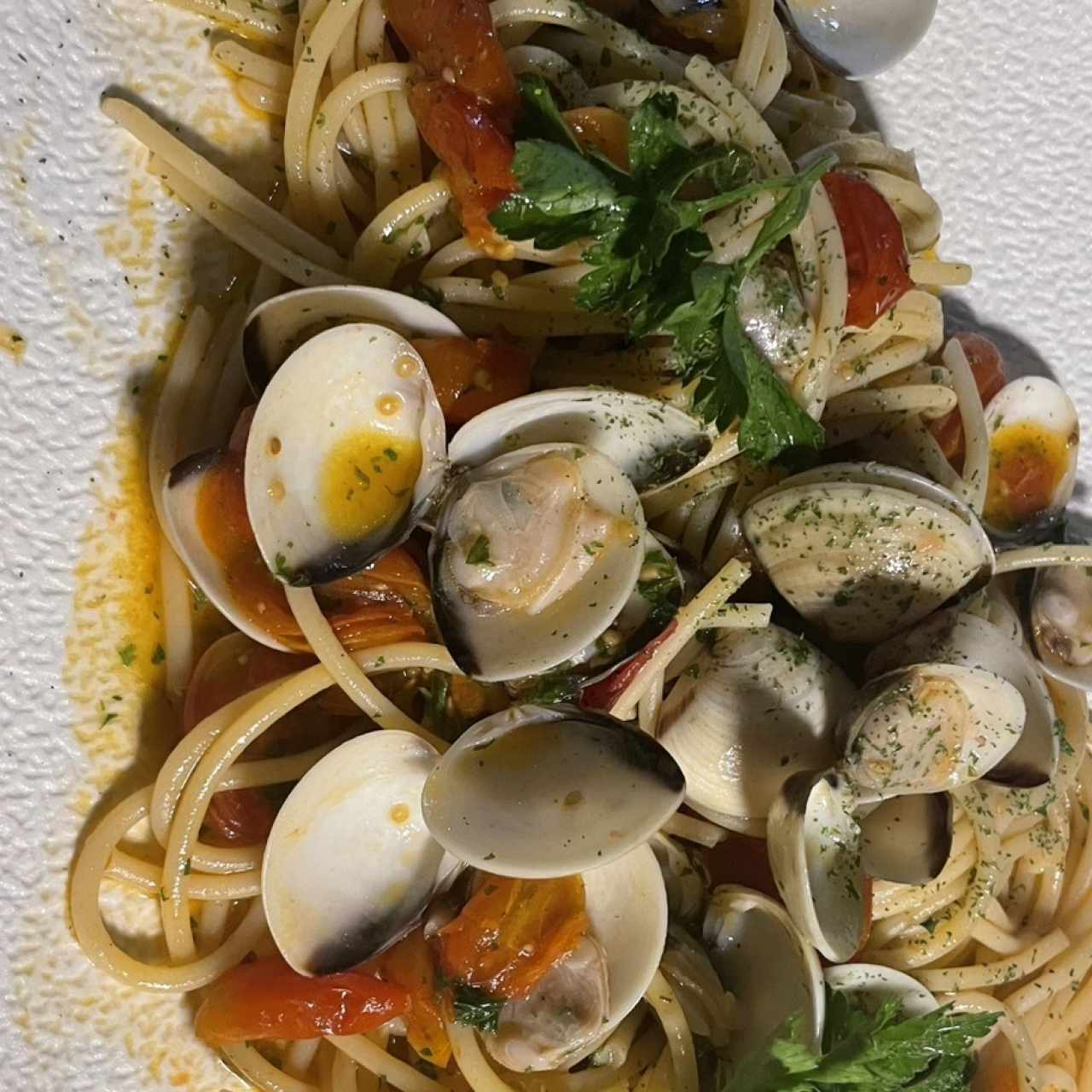 I PRIMI - Vongolina