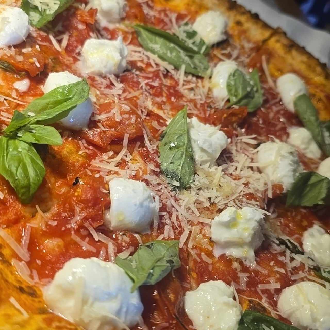 LE PIZZE - Bufalina