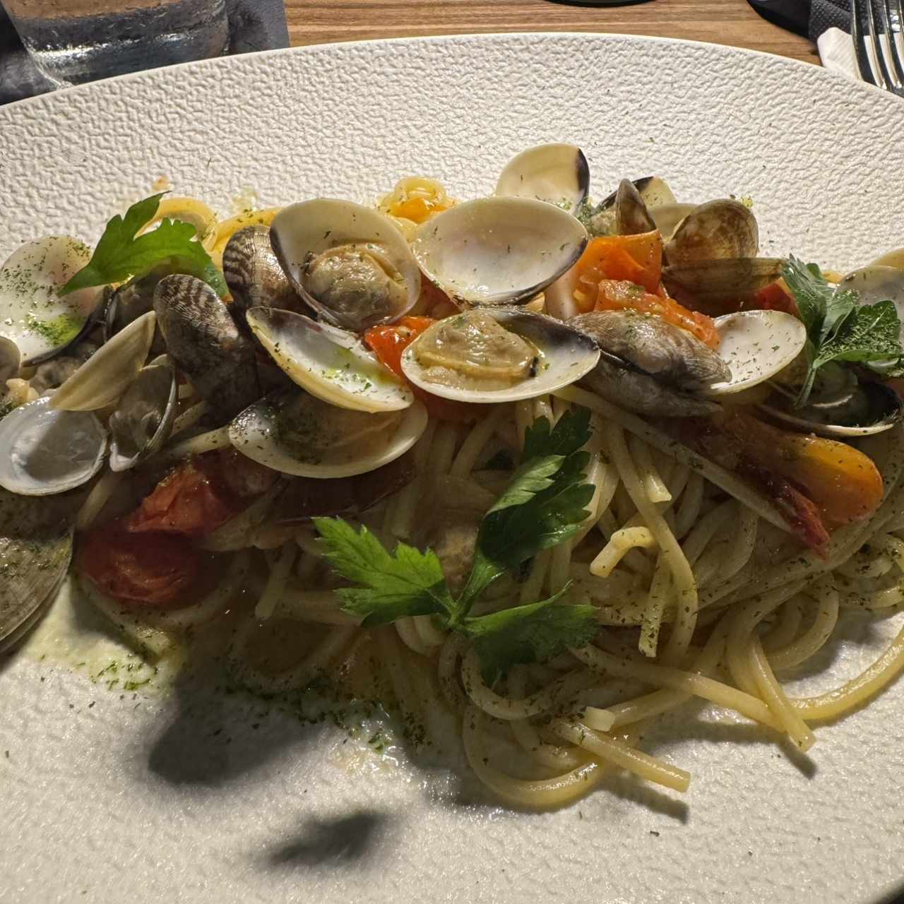 I PRIMI - Vongolina