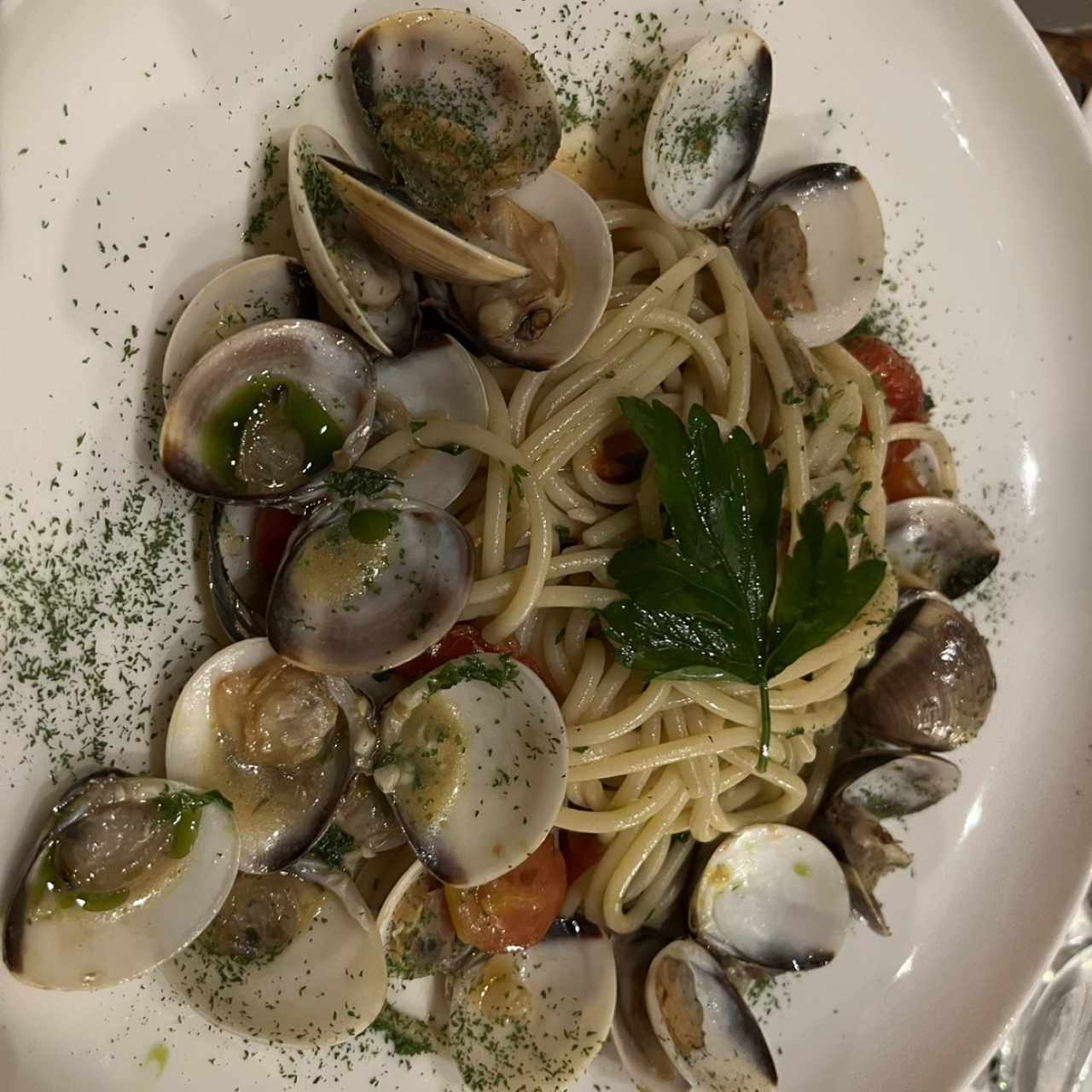 I PRIMI - Vongolina