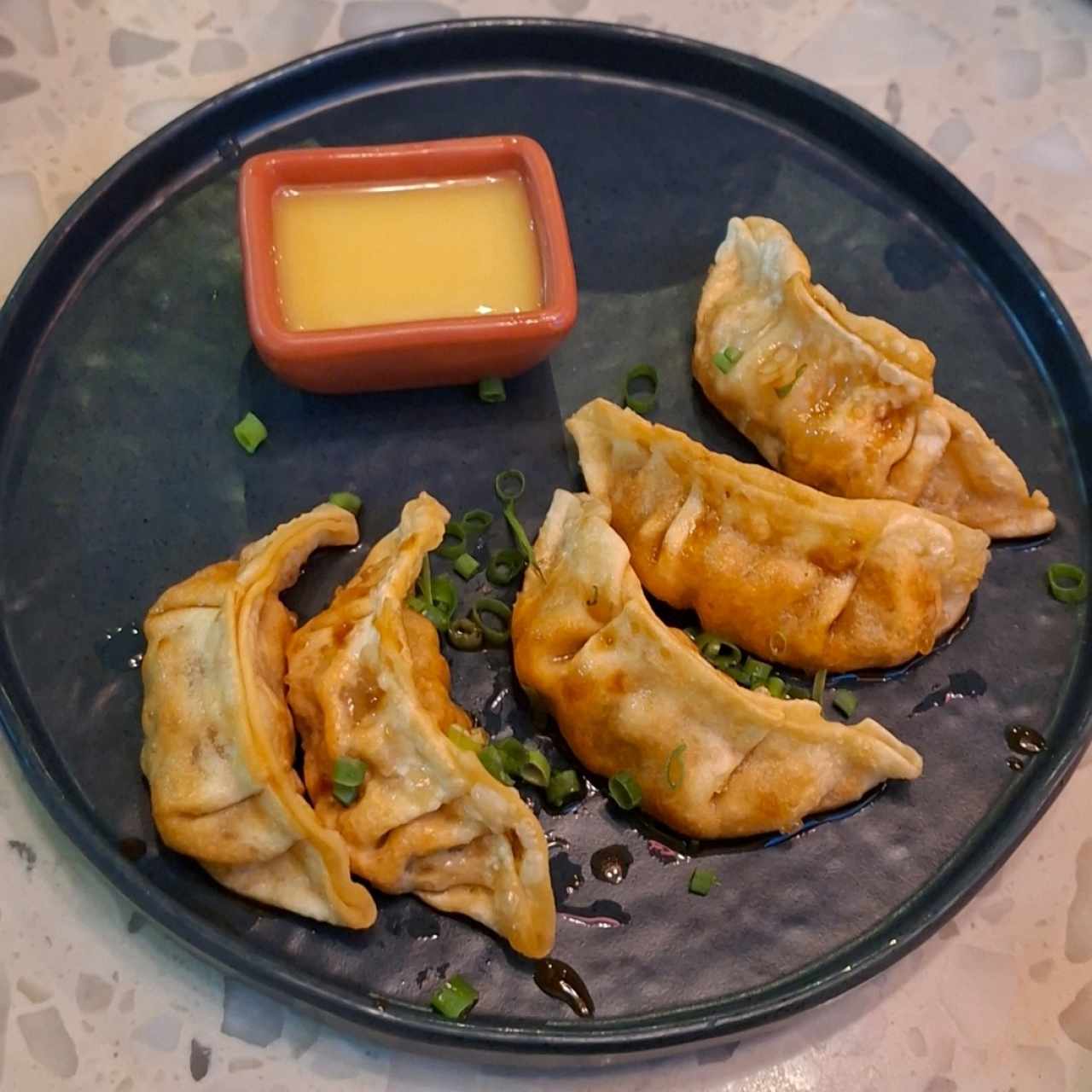 Entrada - Gyoza cocida