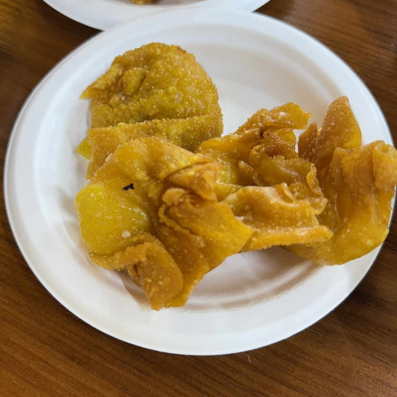 Wanton frito