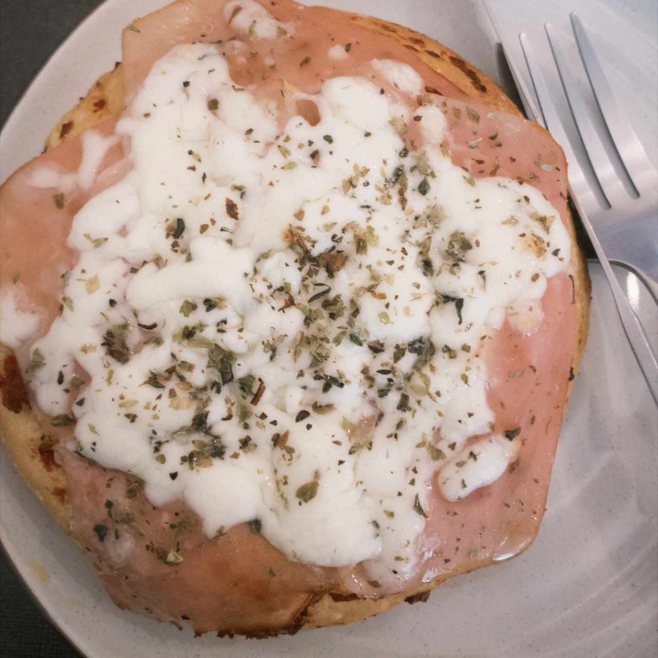 Pizza con jamon, mozzarella y oregano