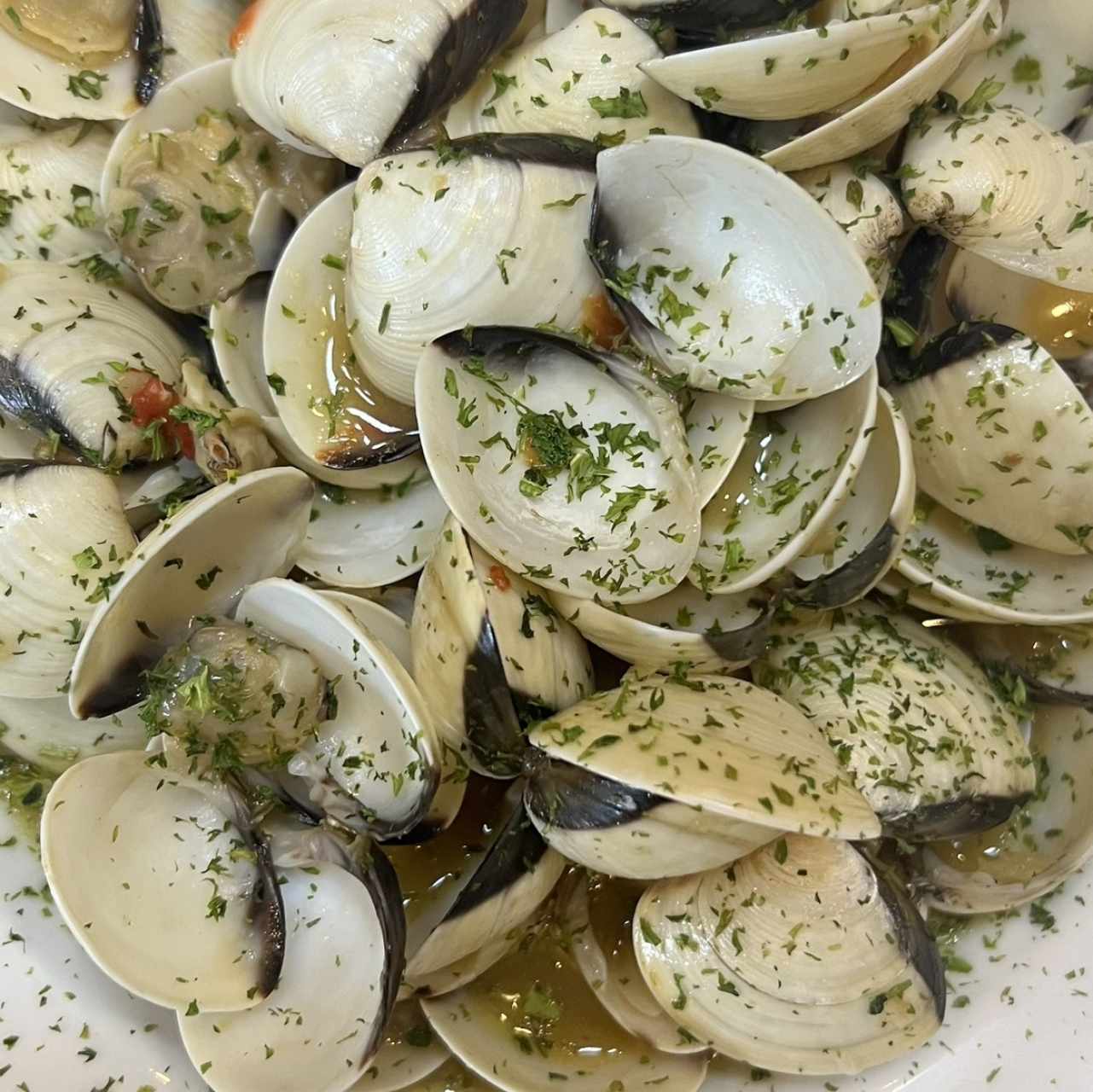 Almejas al Ajillo