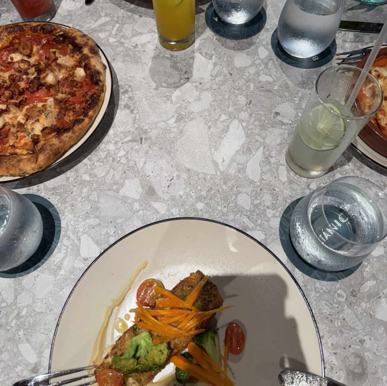 Salmon 