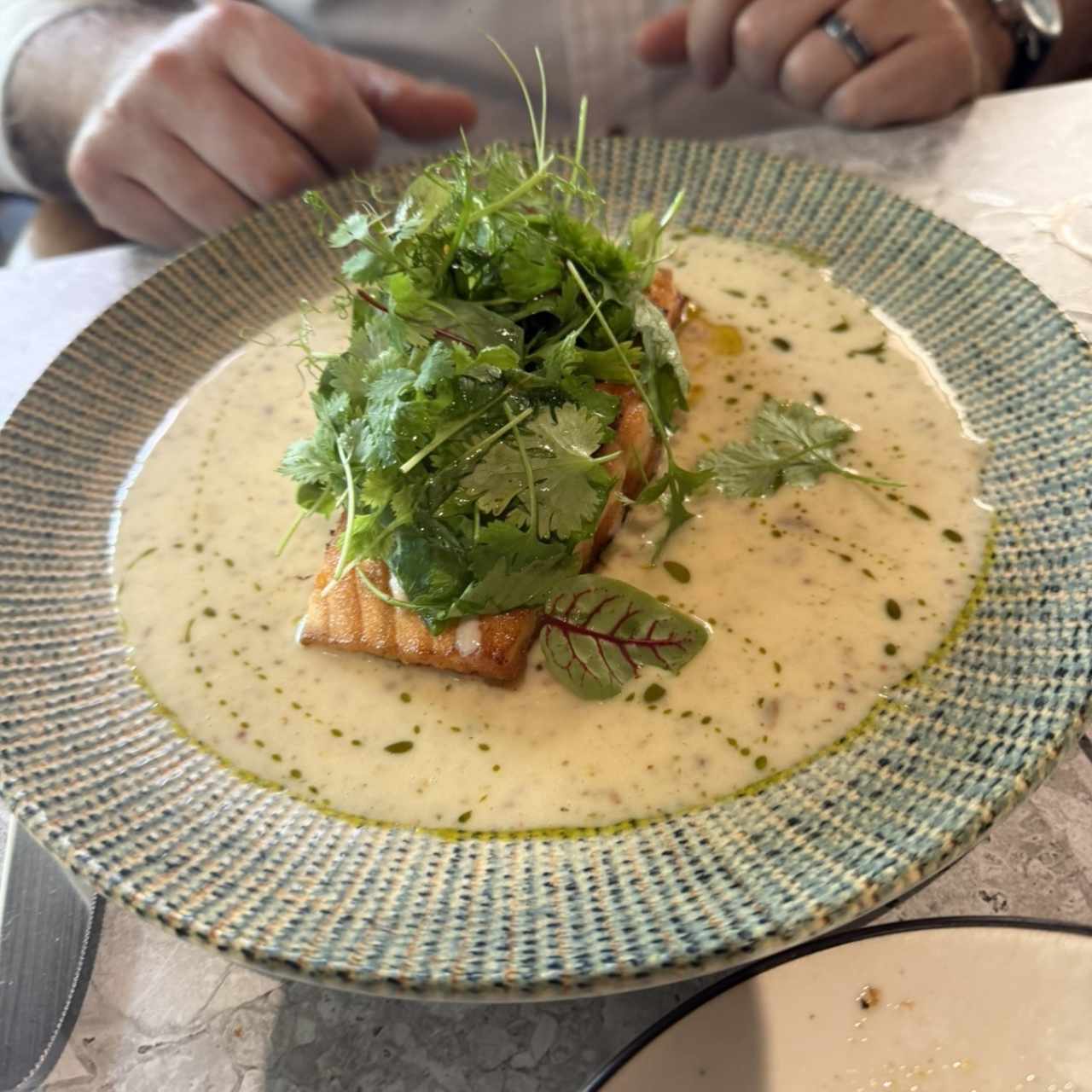 Salmon