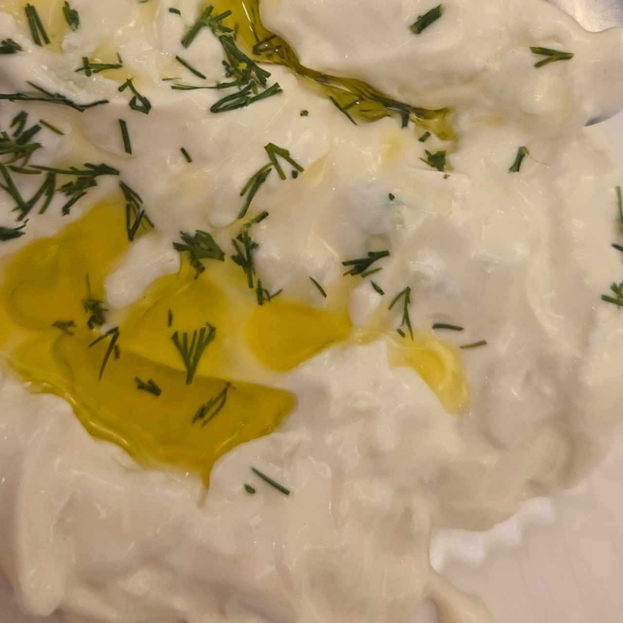 ENTRADAS FRÍAS - TZATZIKI