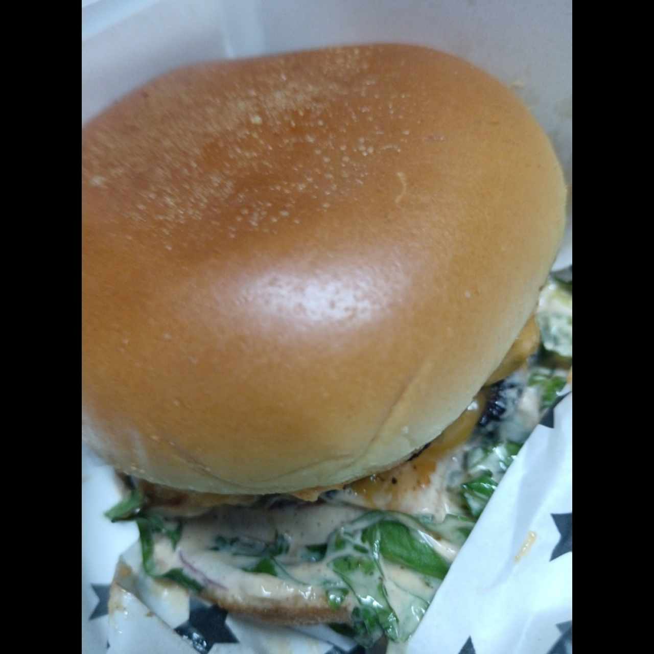 Hamburguesa con doble carne y salsa beauty 