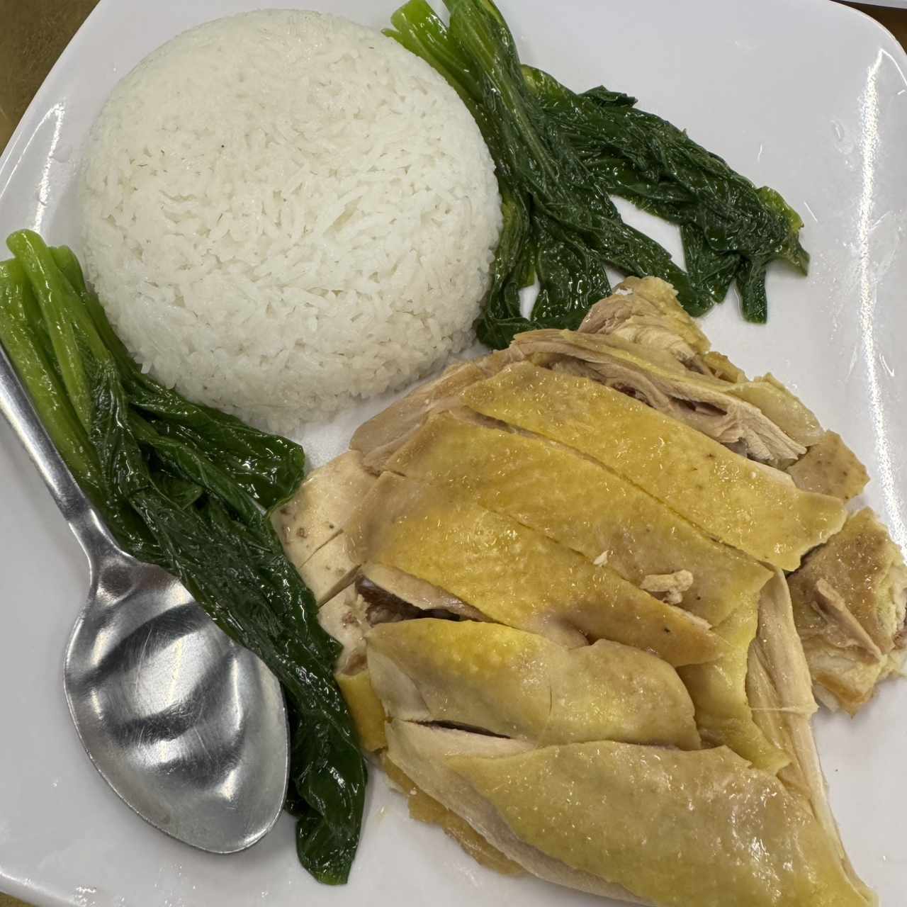 Pollo de patio