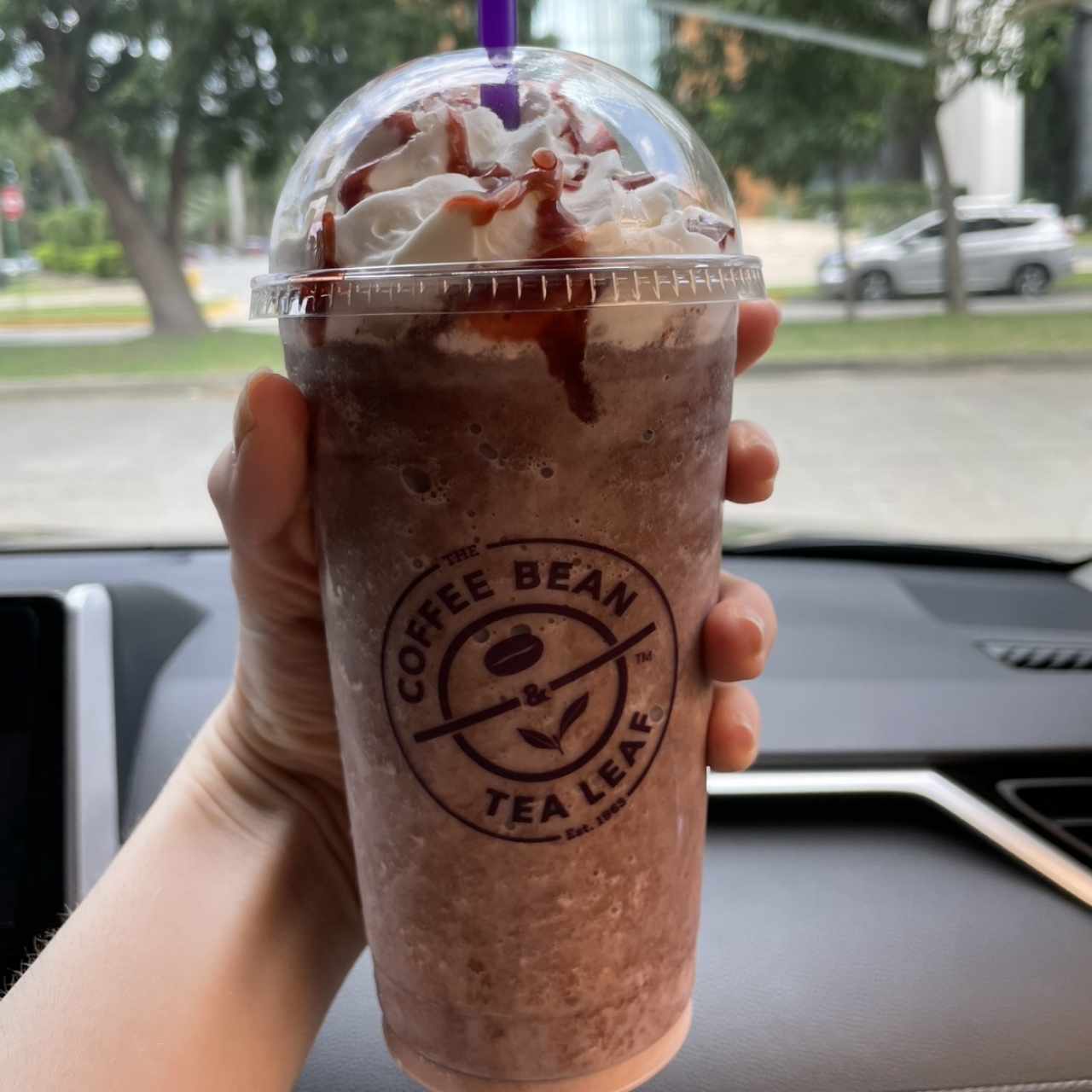 Strawberry Fudge Ice Blended