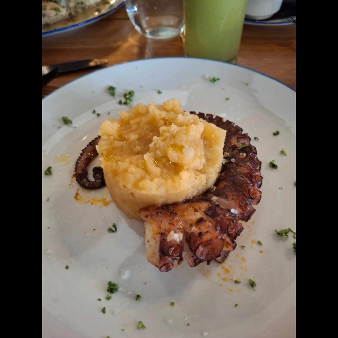 pulpo