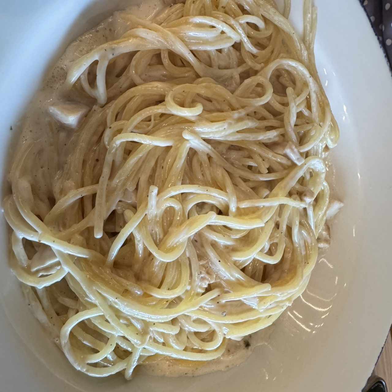 SPAGHETTI ALFREDO POLLO