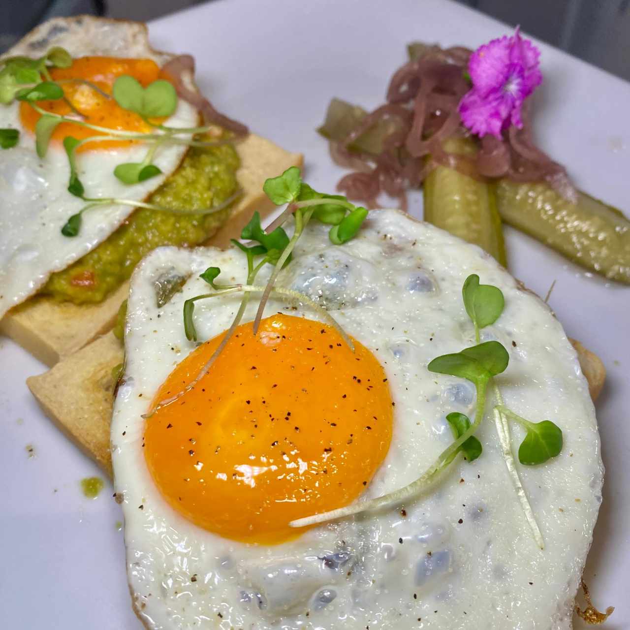 Avocado Toast