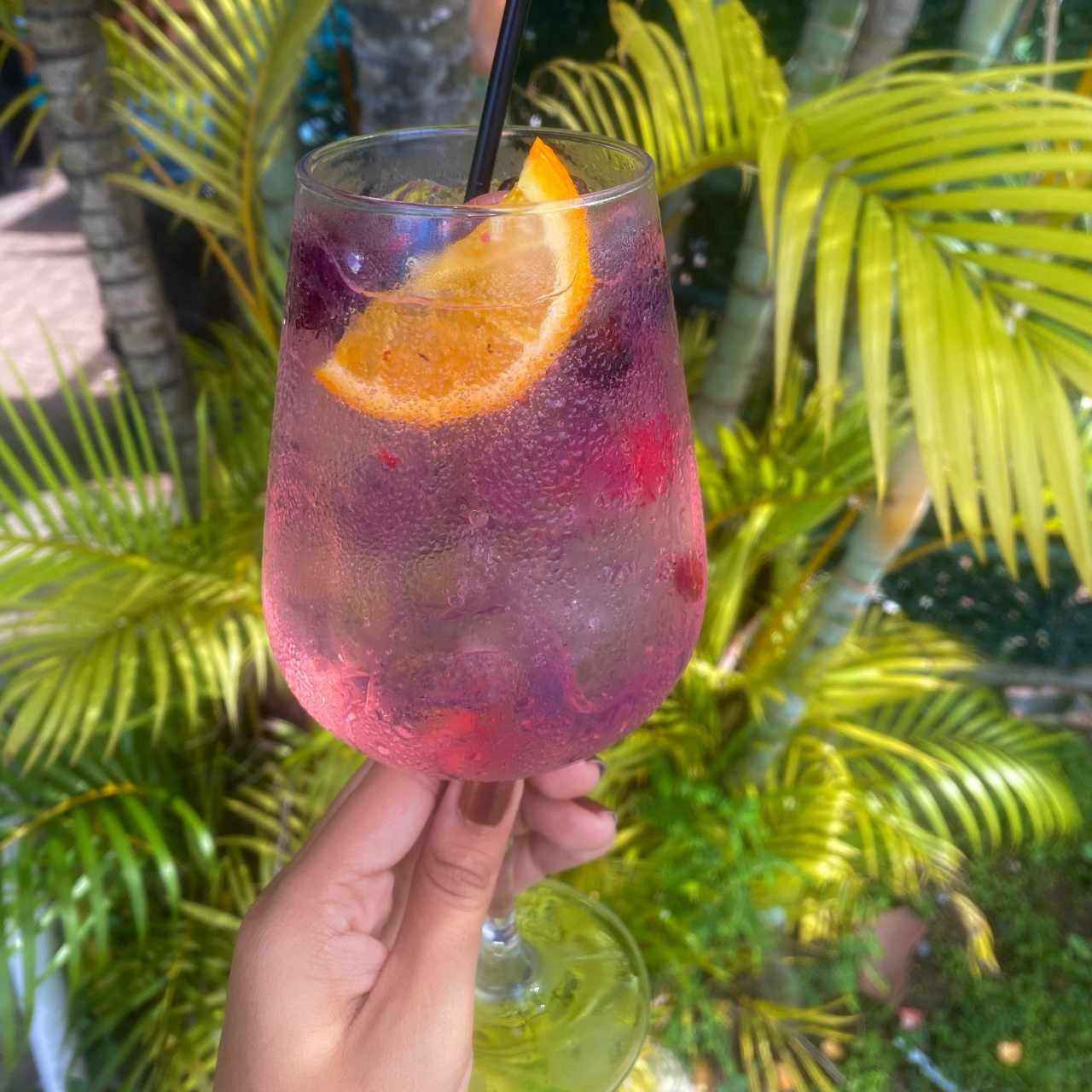 Gin tonic