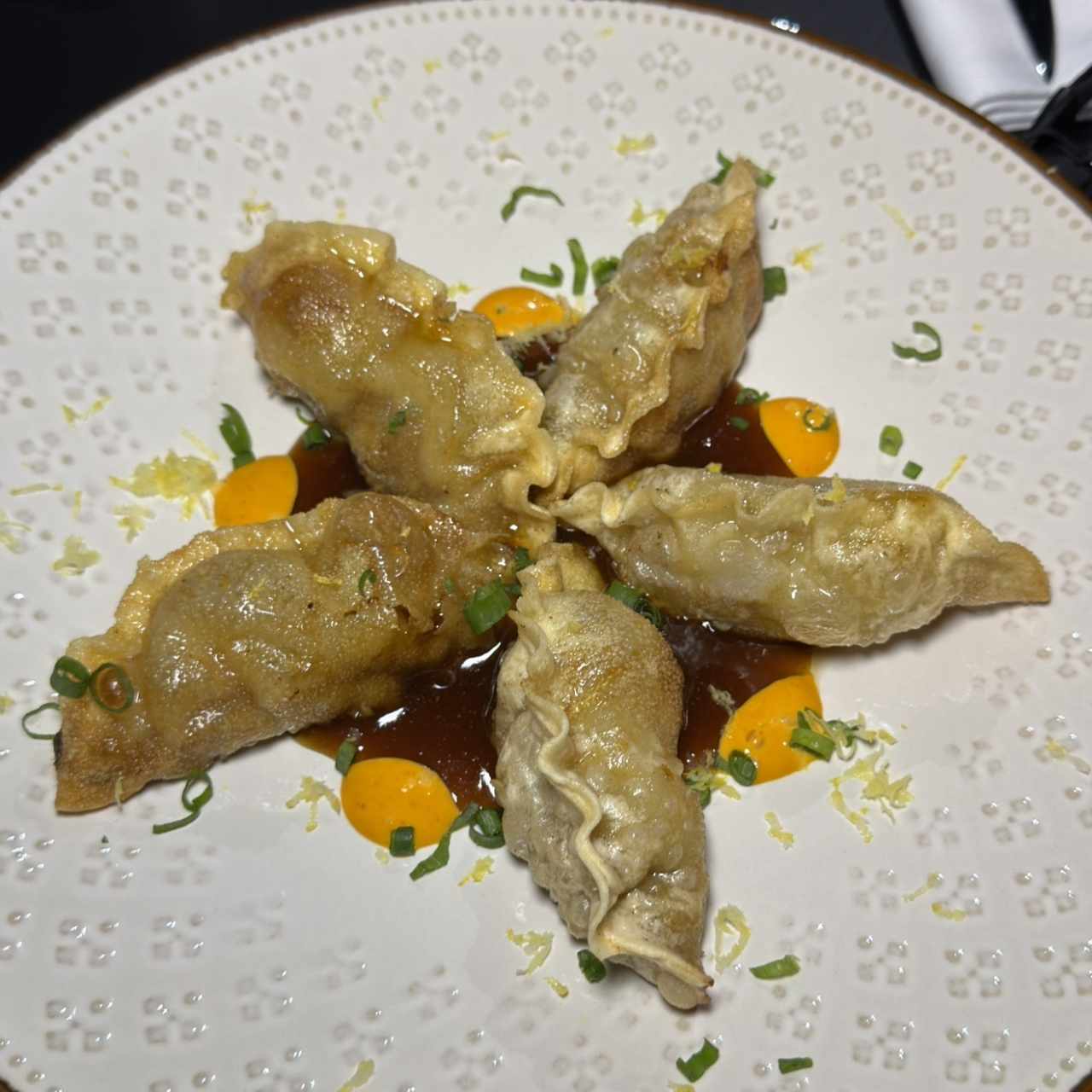 Dumplings de res 