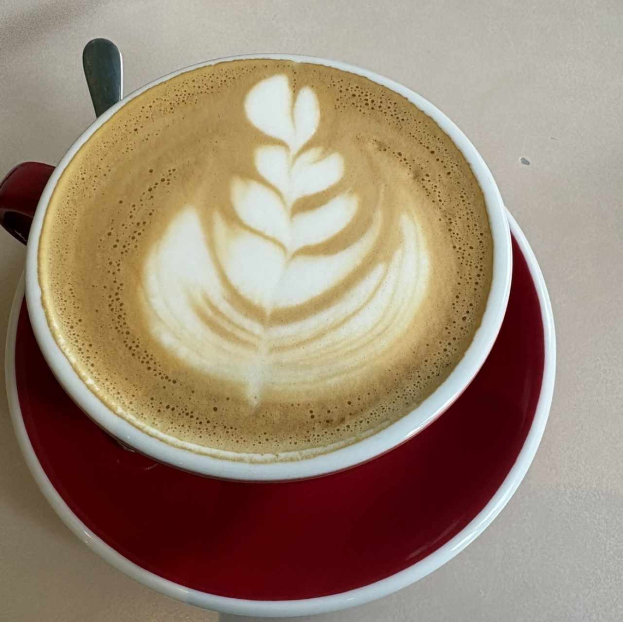 Capuccino 