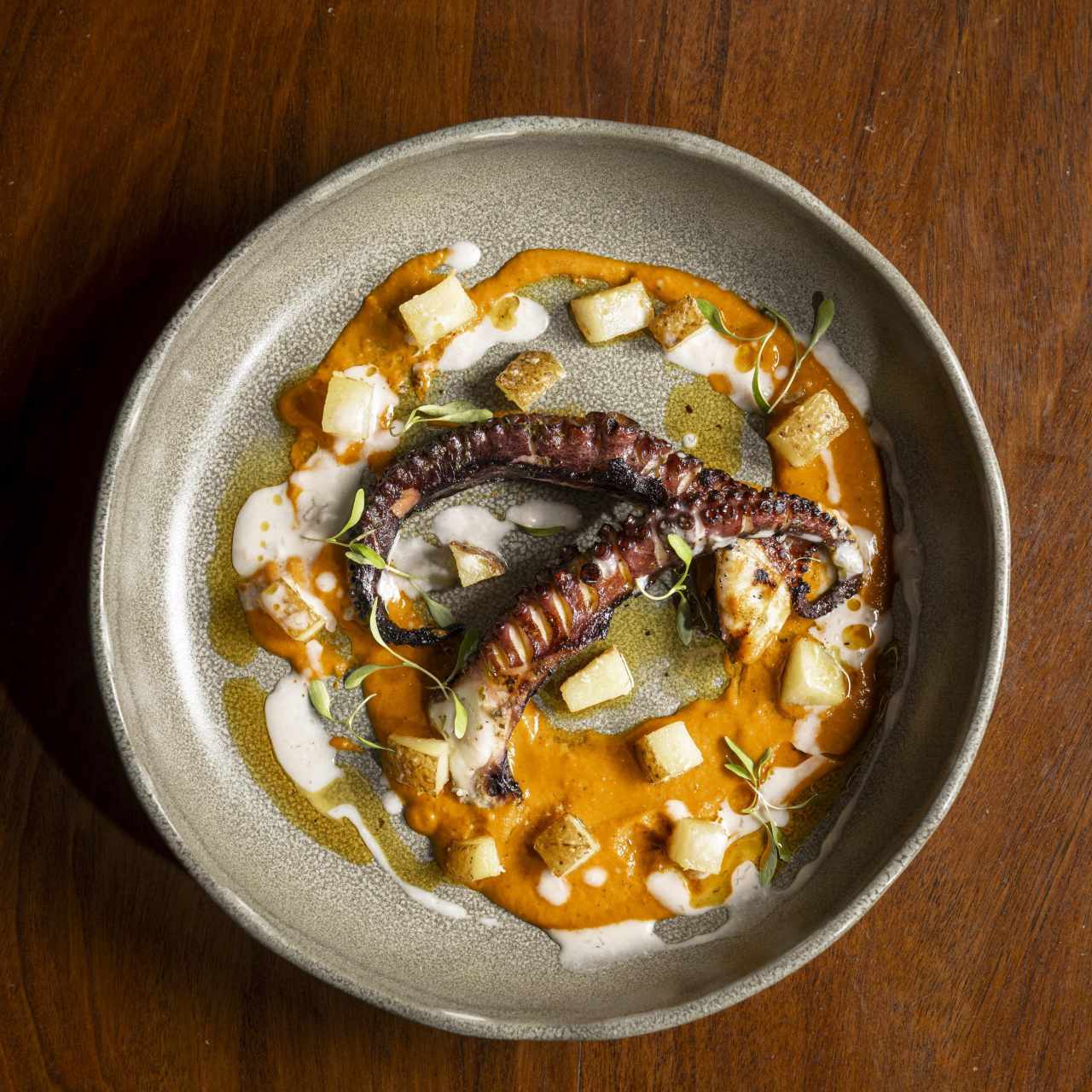 OCTOPUS ALQUIMIA