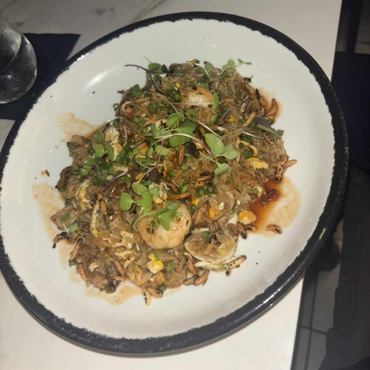 ARROZ CHAUFA TERRAPLÉN