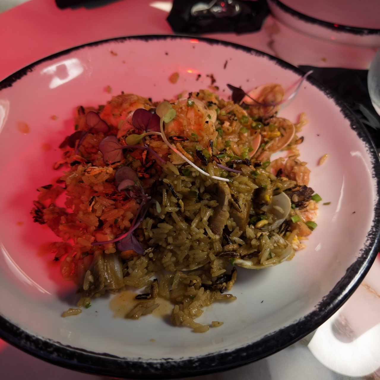 ARROZ CHAUFA TERRAPLÉN