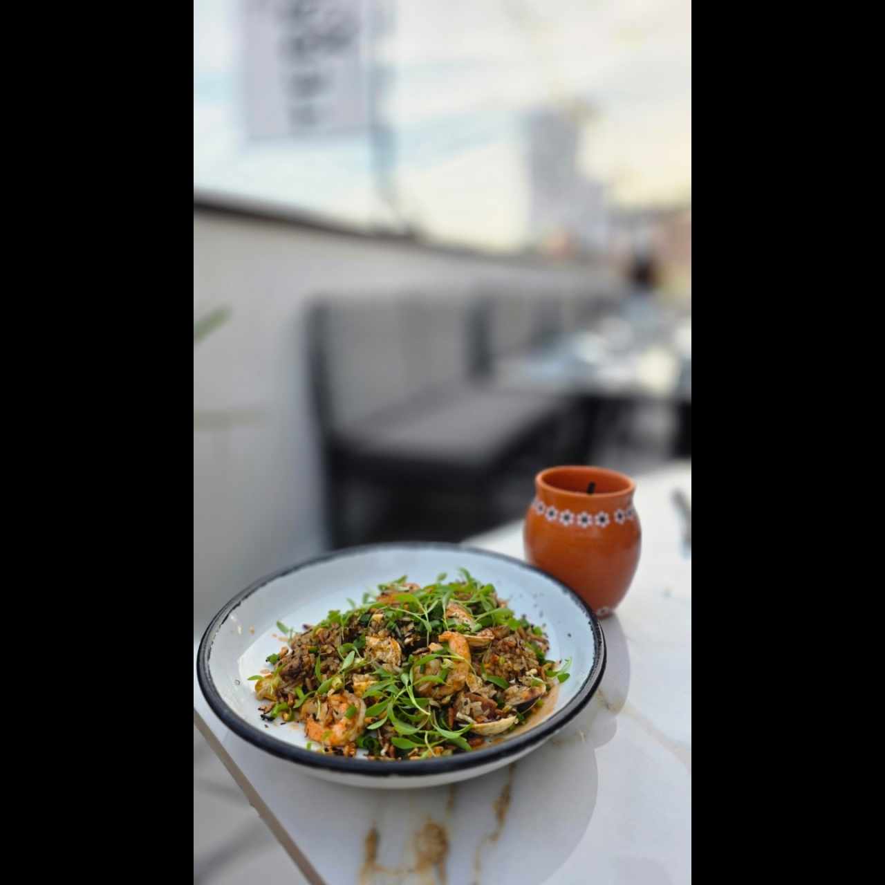 ARROZ CHAUFA TERRAPLÉN