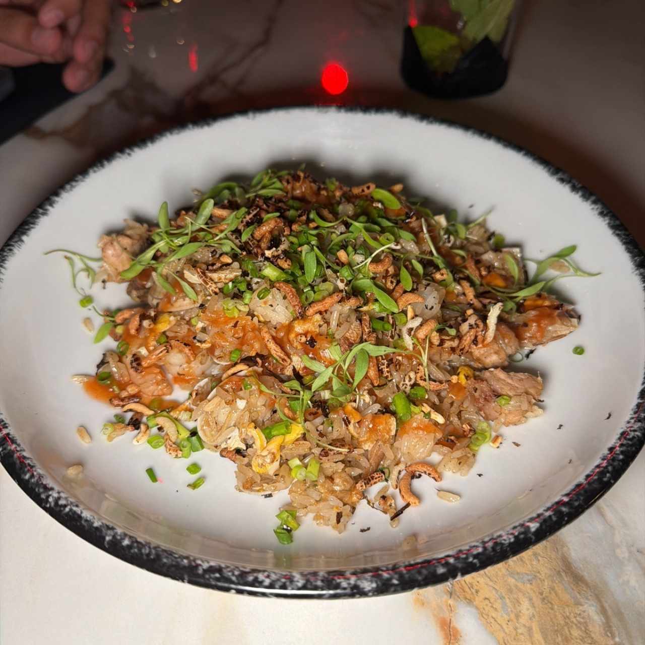 ARROZ CHAUFA TERRAPLÉN