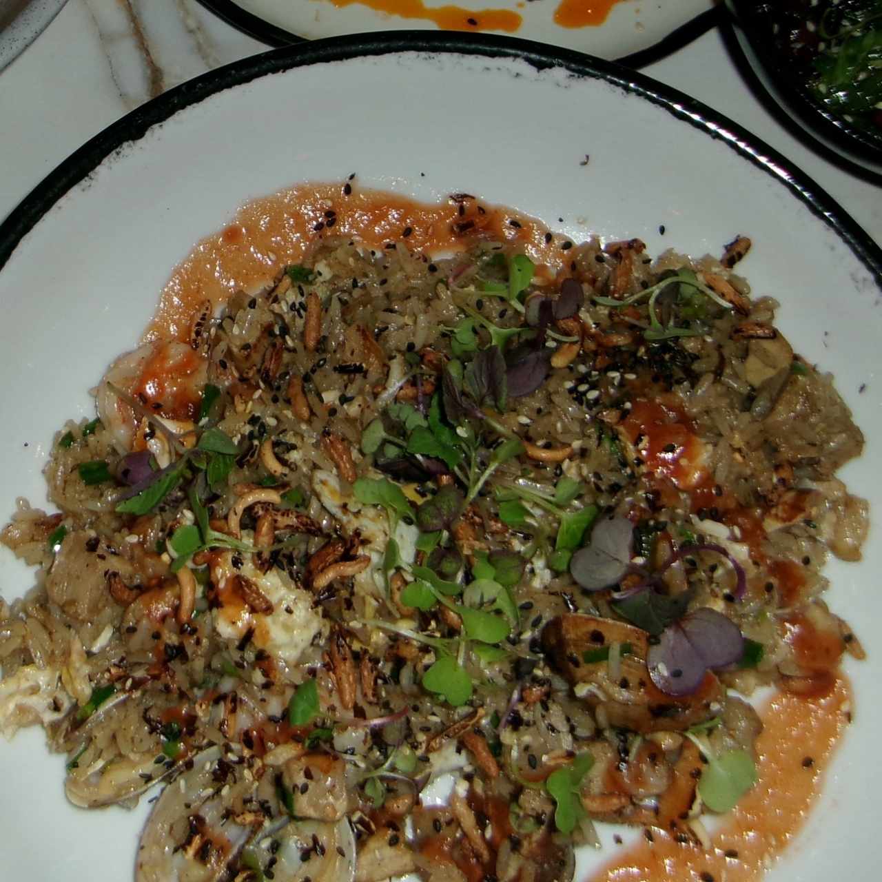 ARROZ CHAUFA TERRAPLÉN