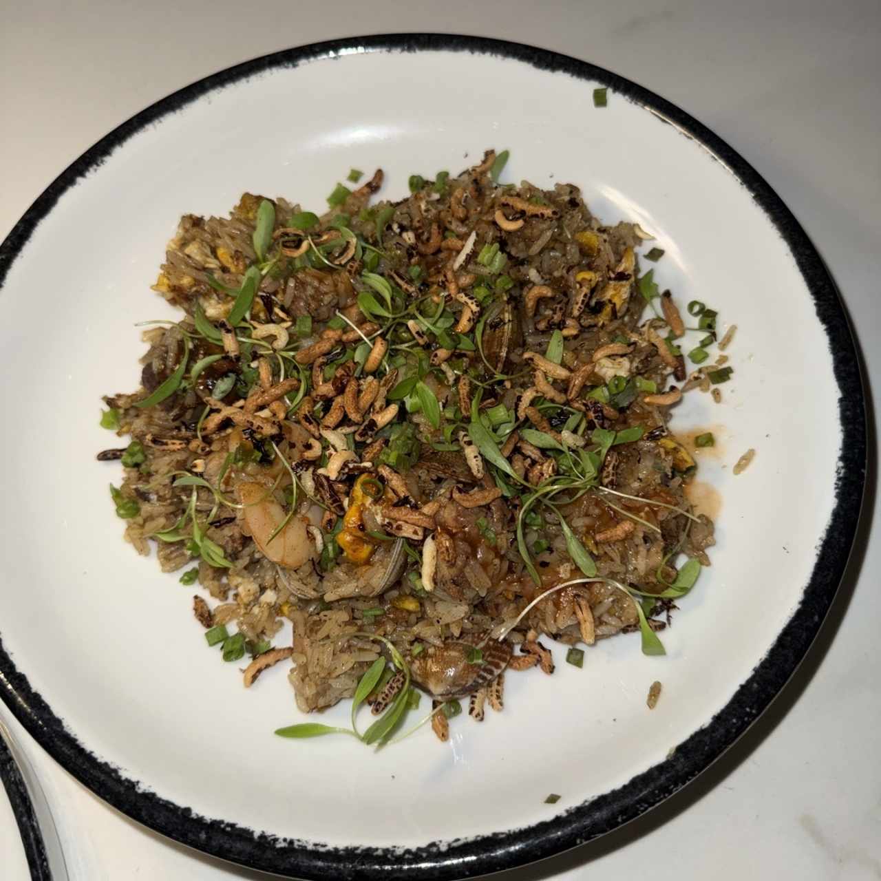 ARROZ CHAUFA TERRAPLÉN
