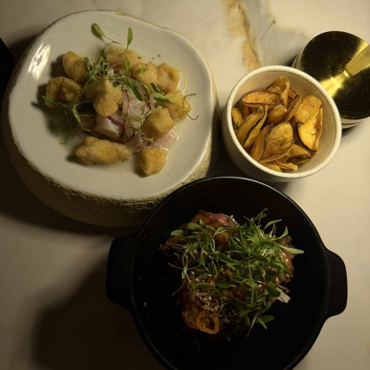 HOT AND COLD CEVICHE