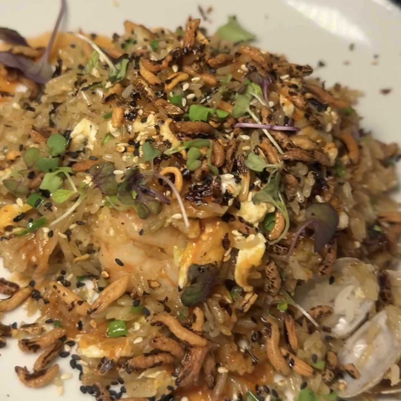 ARROZ CHAUFA TERRAPLÉN
