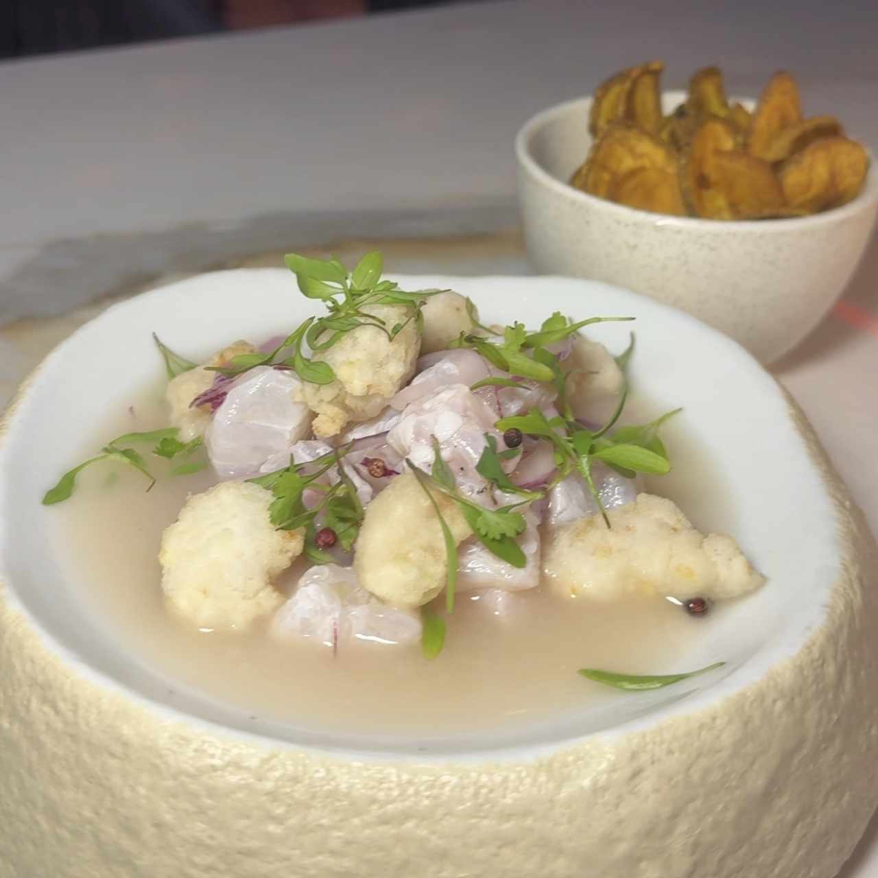 HOT AND COLD CEVICHE