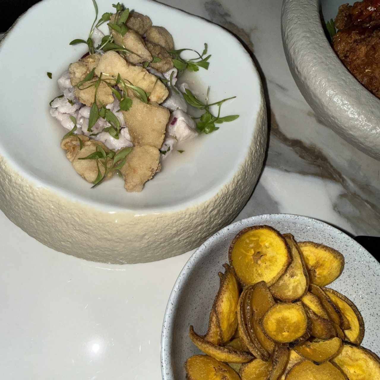 HOT AND COLD CEVICHE