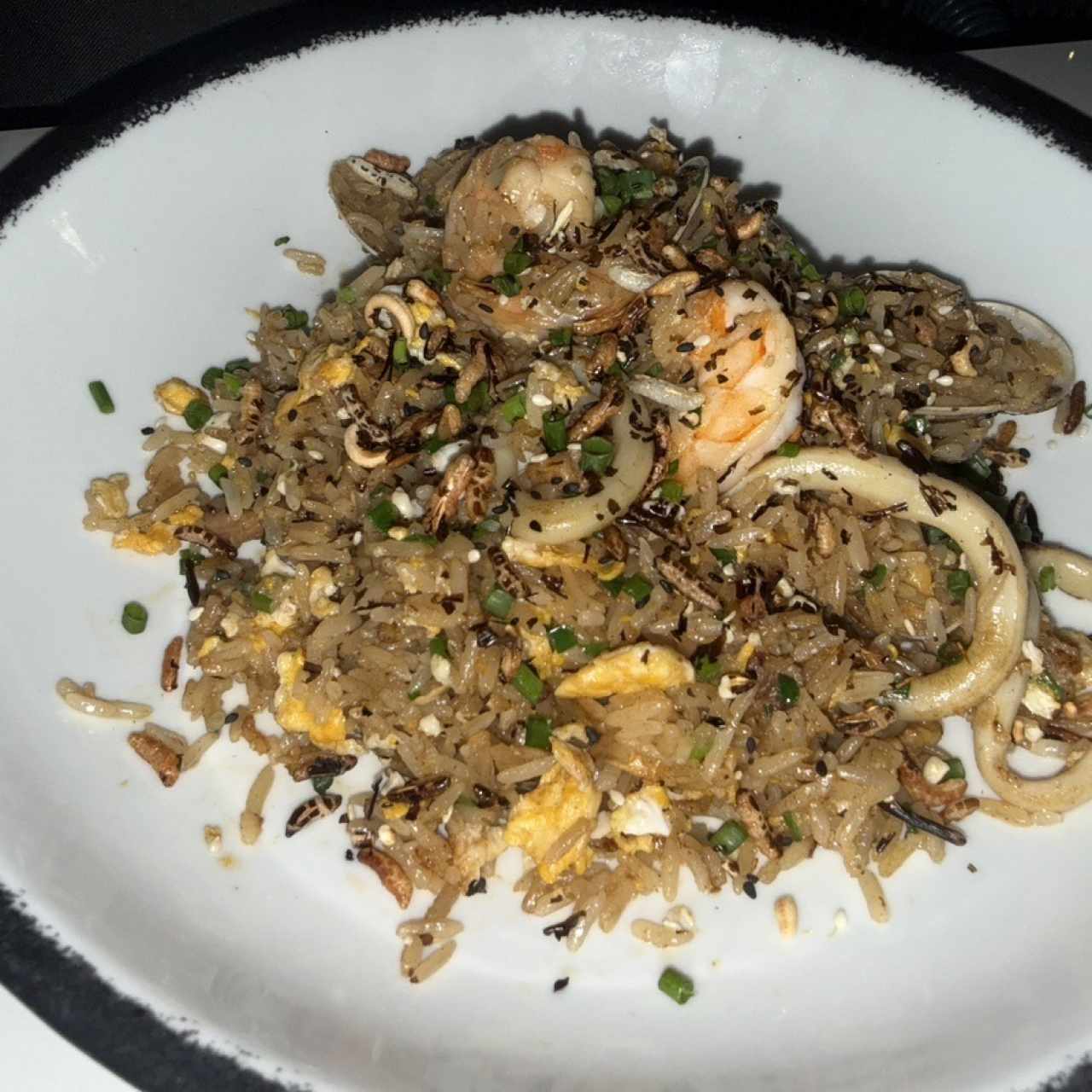 ARROZ CHAUFA TERRAPLÉN