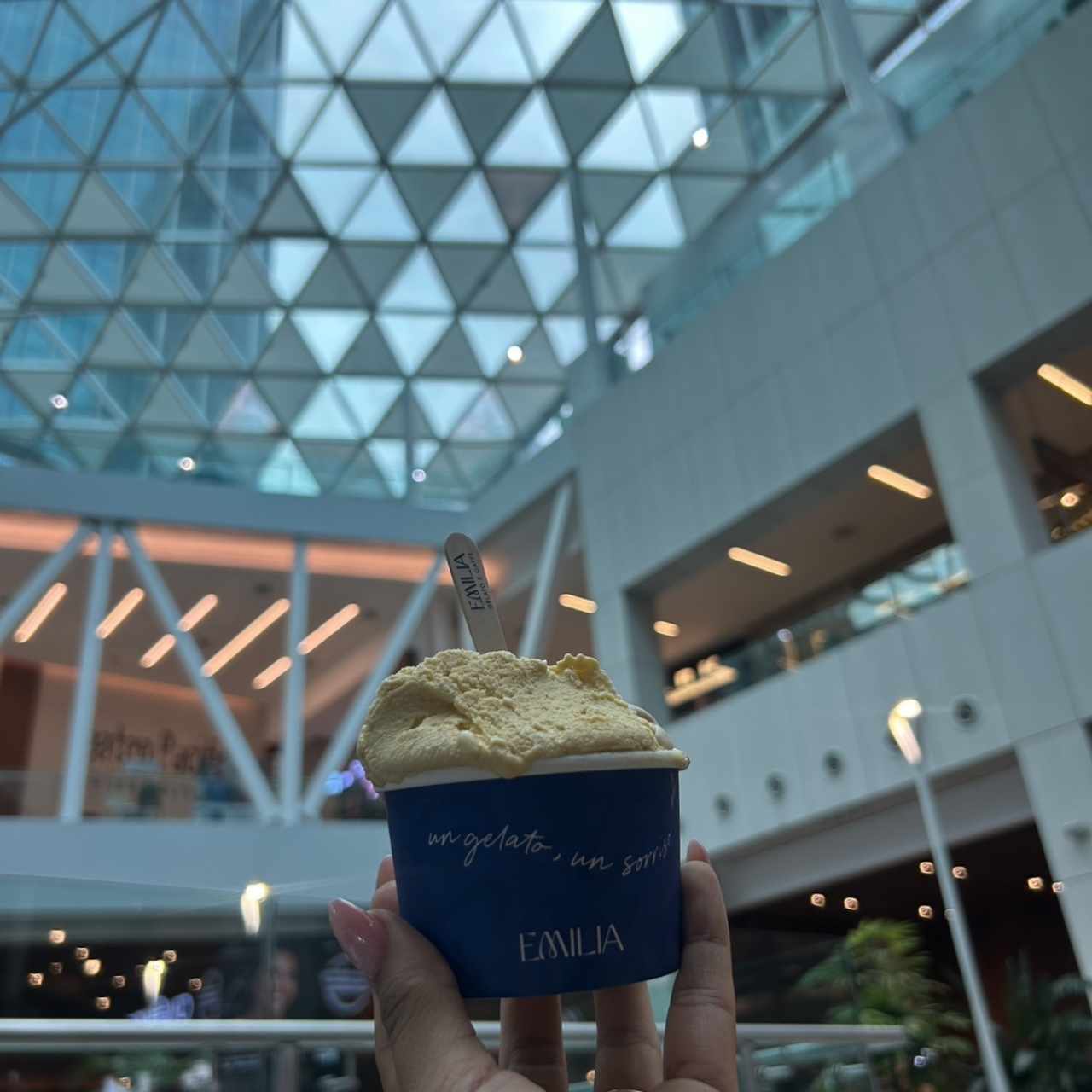 Helado 2 sabores