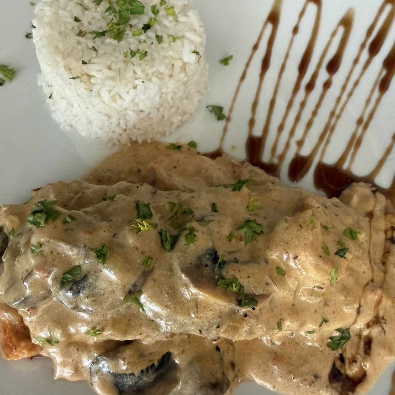 Salmón a la crema con arroz 
