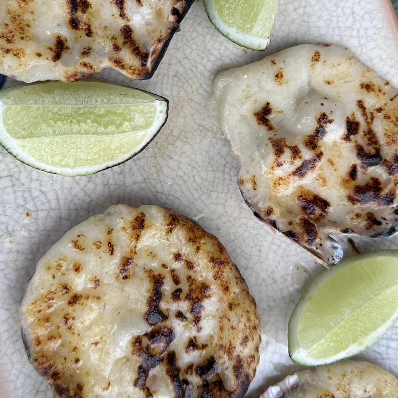 Conchas a la parmesana