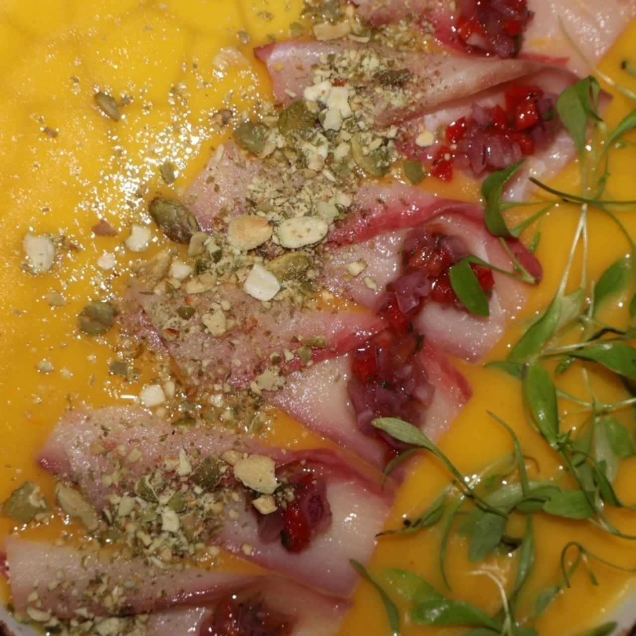 Hamachi del Trópico
