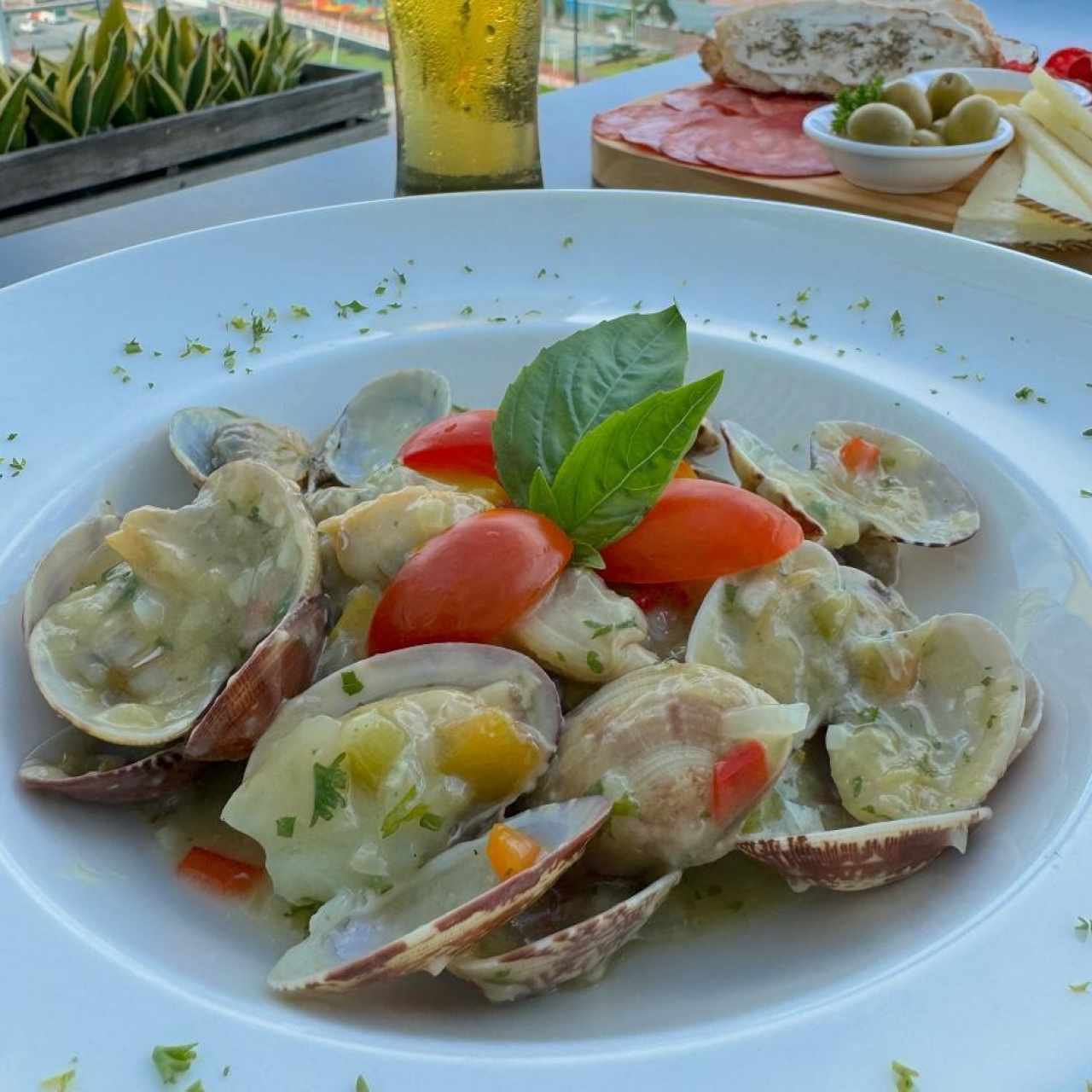 Almejas en Salsa Napolitana o al Ajillo