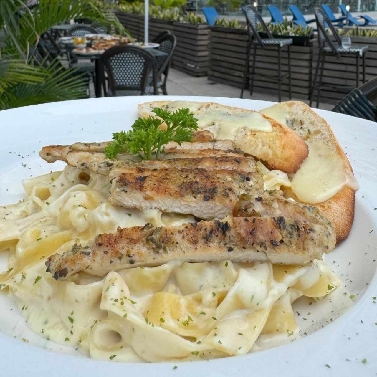 Fettuccine en Salsa Alfredo