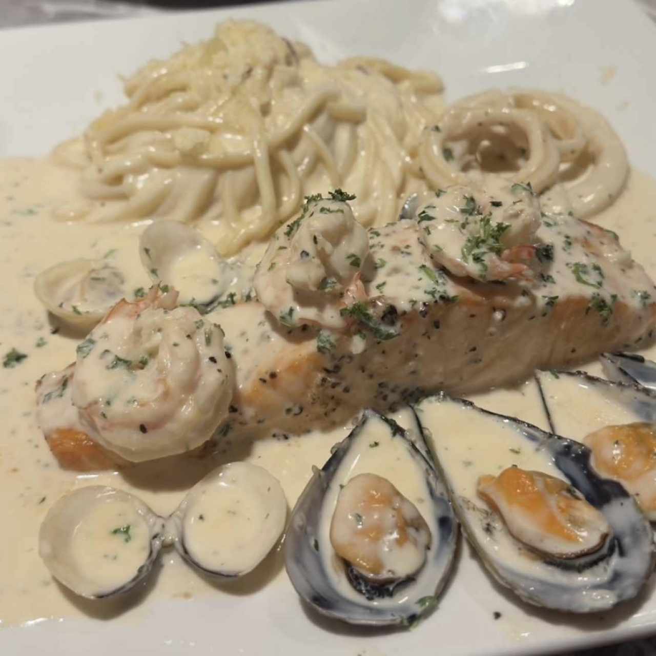 Salmone pescatore