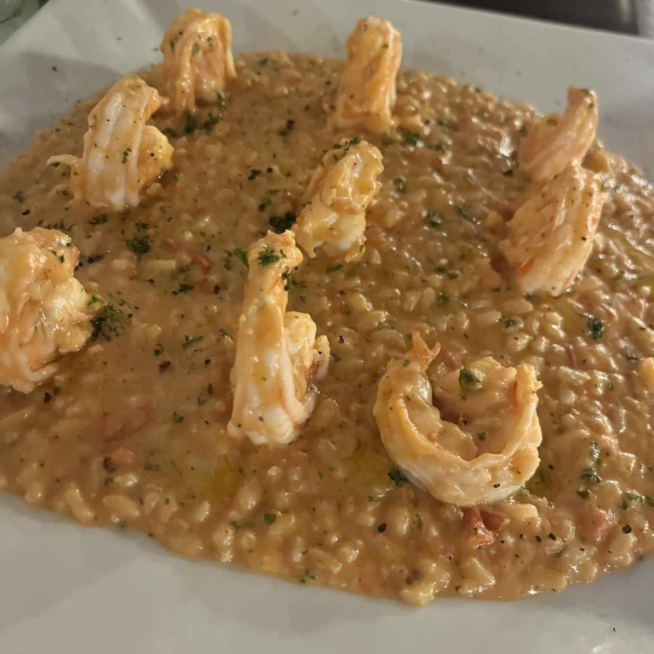 Rissotto con langostinos
