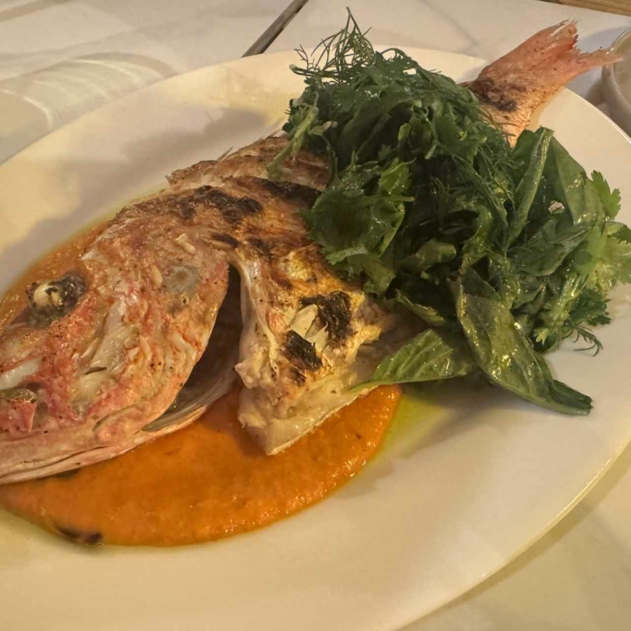 Pesca del dia 