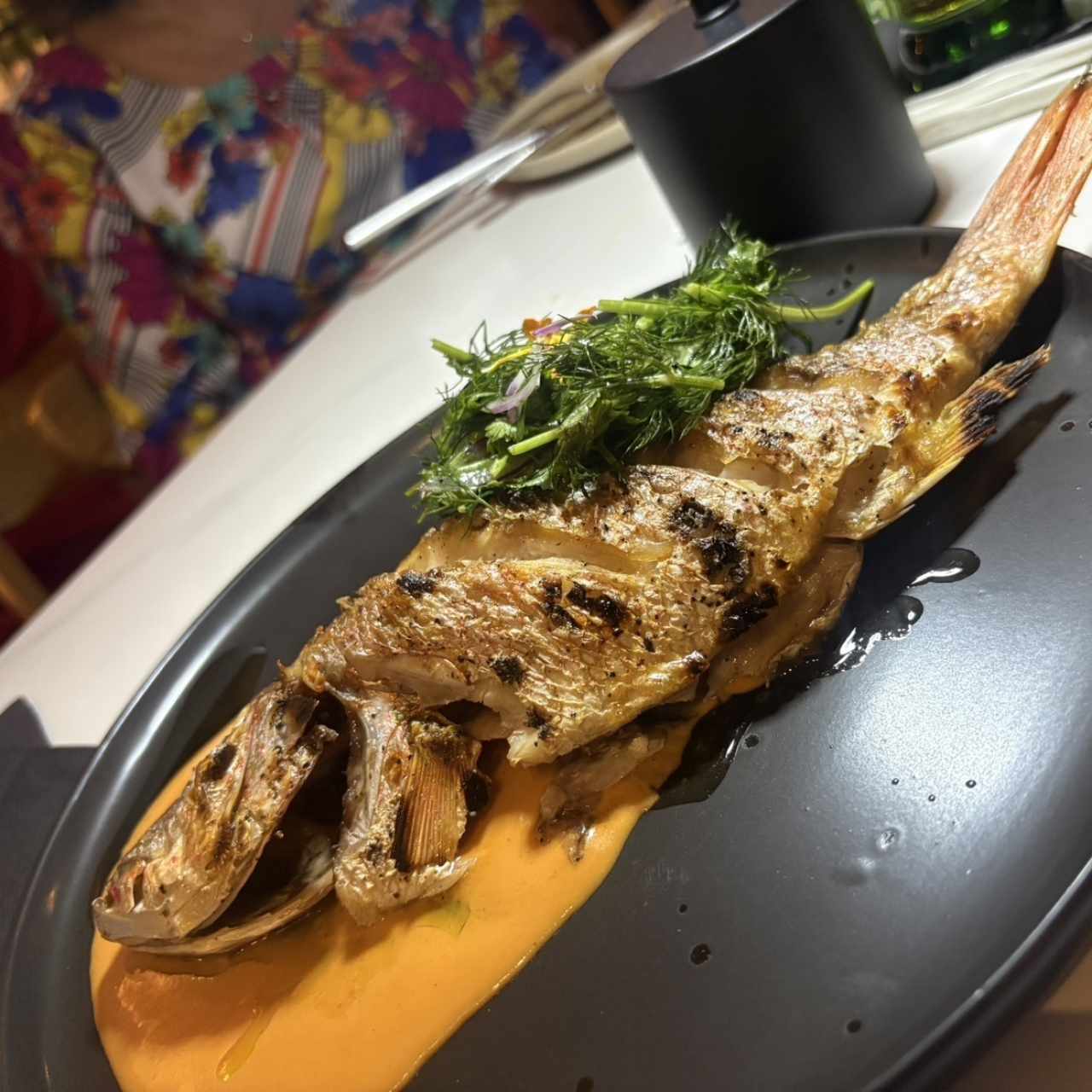 pesca del día 